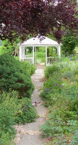 A garden with many plants and trees