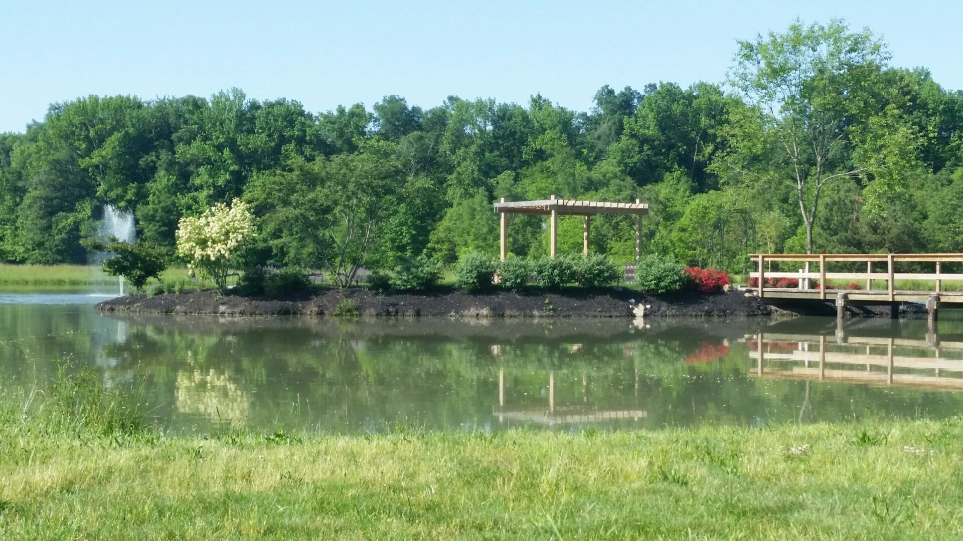 A pond with trees in the background and a wooden structure.