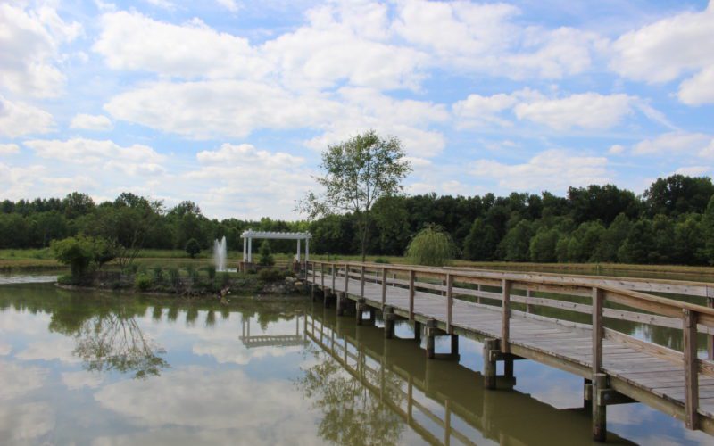 A bridge over water with trees in the background.