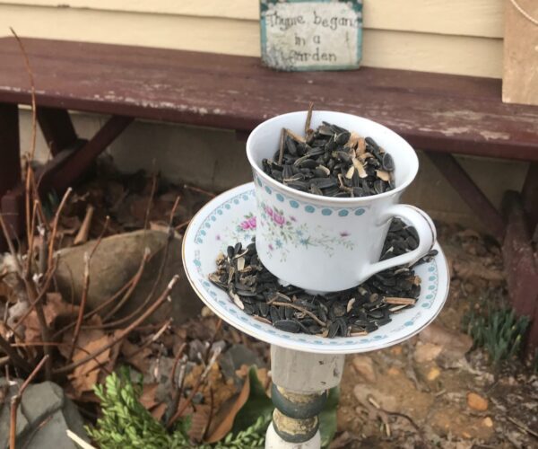 A cup of tea sitting on top of a bird feeder.