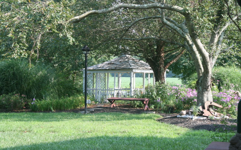 A gazebo in the middle of a park with trees.