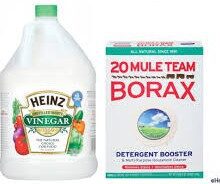 A bottle of vinegar and box of borax.