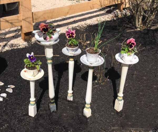 A group of flower pots sitting on top of dirt.