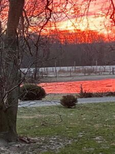 A tree in the foreground with a sunset behind it.