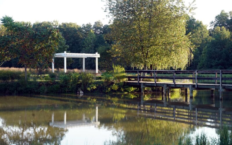A peaceful pond with a white pergola and wooden bridge.